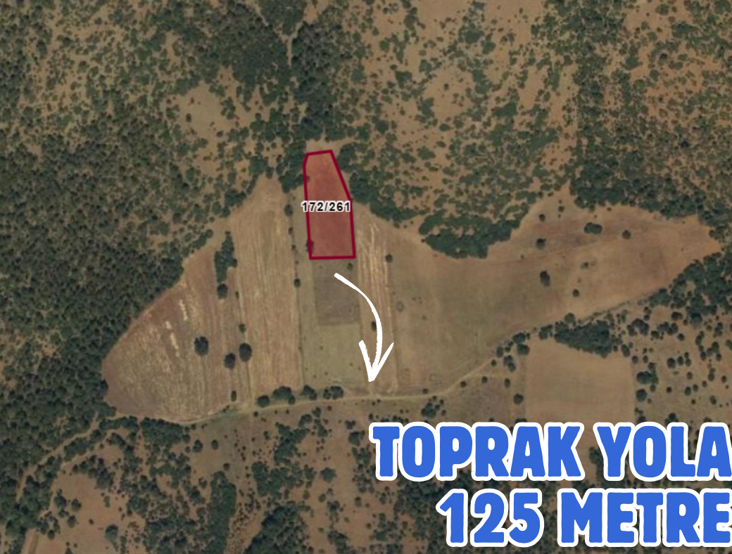 DENİZLİ ÇARDAK HAYRİYE 3.277 M² TARLAMIZ SATILIKTIR - DENİZLİ ÇARDAK fotoğraf 3